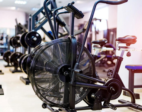 Top Gym Equipment Brands