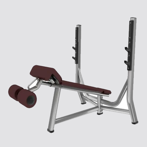 Top Gym Equipment Brands