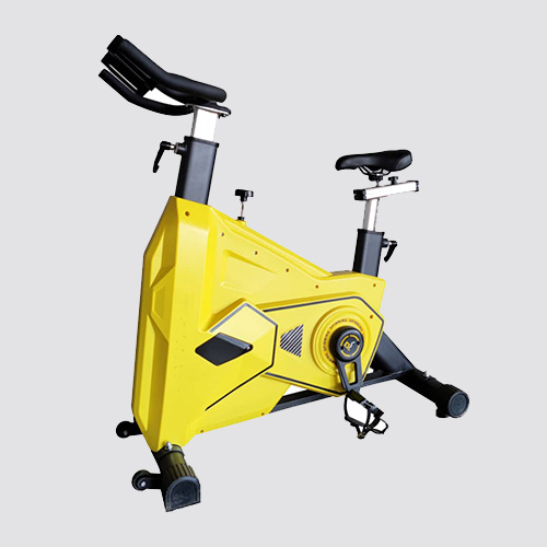 Top Gym Equipment Brands